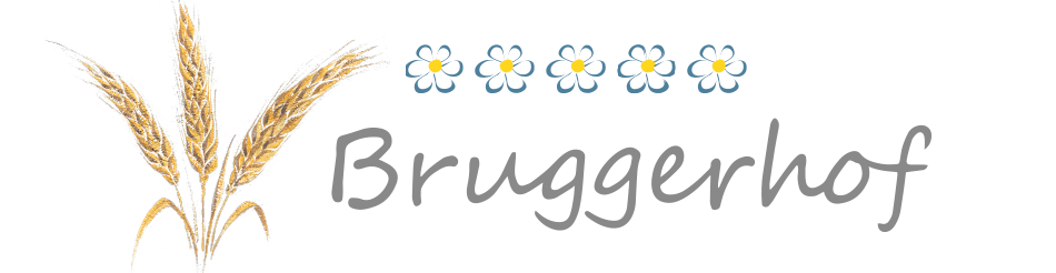 Bruggerhof Logo